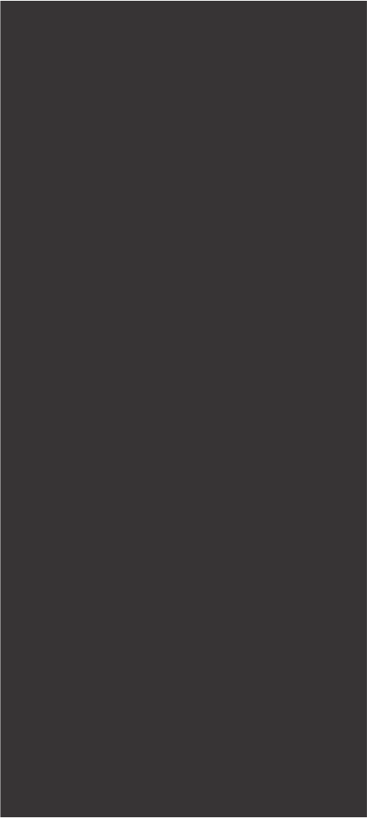 PA- 11013HG.png